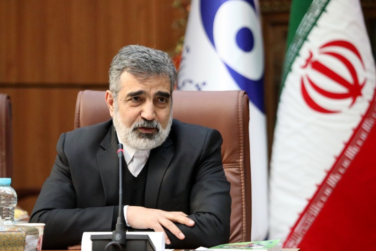 دسترسی به افراد در مراکز هستهای صحت ندارد/ تفاهمات کاملا در راستای قانون مجلس دنبال خواهد شد