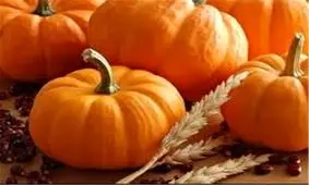 تصاویری جذاب و دوست داشتنی از اولین پارک کدو تنبل اروپا