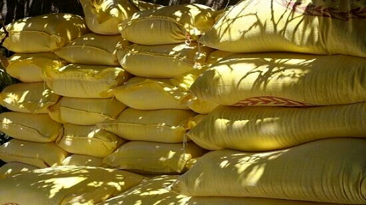از فردا کمبود ماکارونی در کشور  نخواهیم داشت

