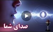 موش‌ها از در و دیوار شهر بالا می‌روند!