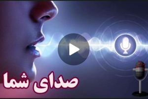 موش‌ها از در و دیوار شهر بالا می‌روند!