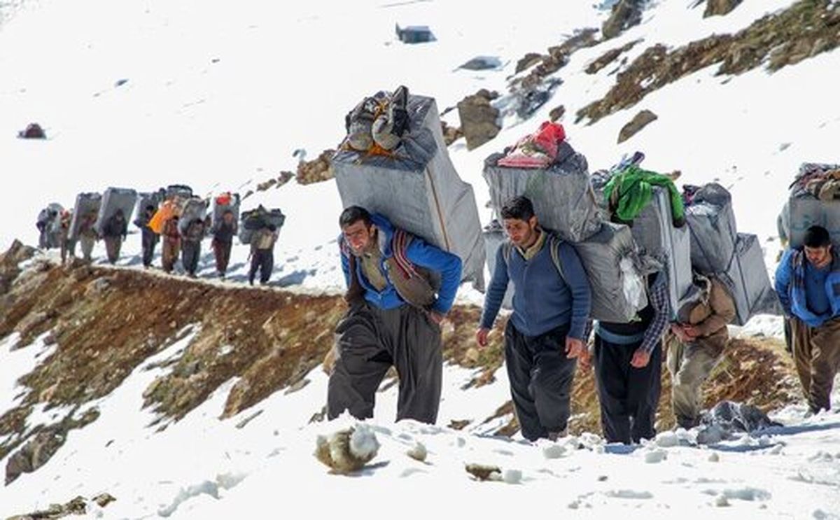 بیش از نیمی از کولبران مدارک تحصیلی بالاتر از لیسانس دارند/ اگر کولبری شغل است چرا آنها را می‌کشند؟