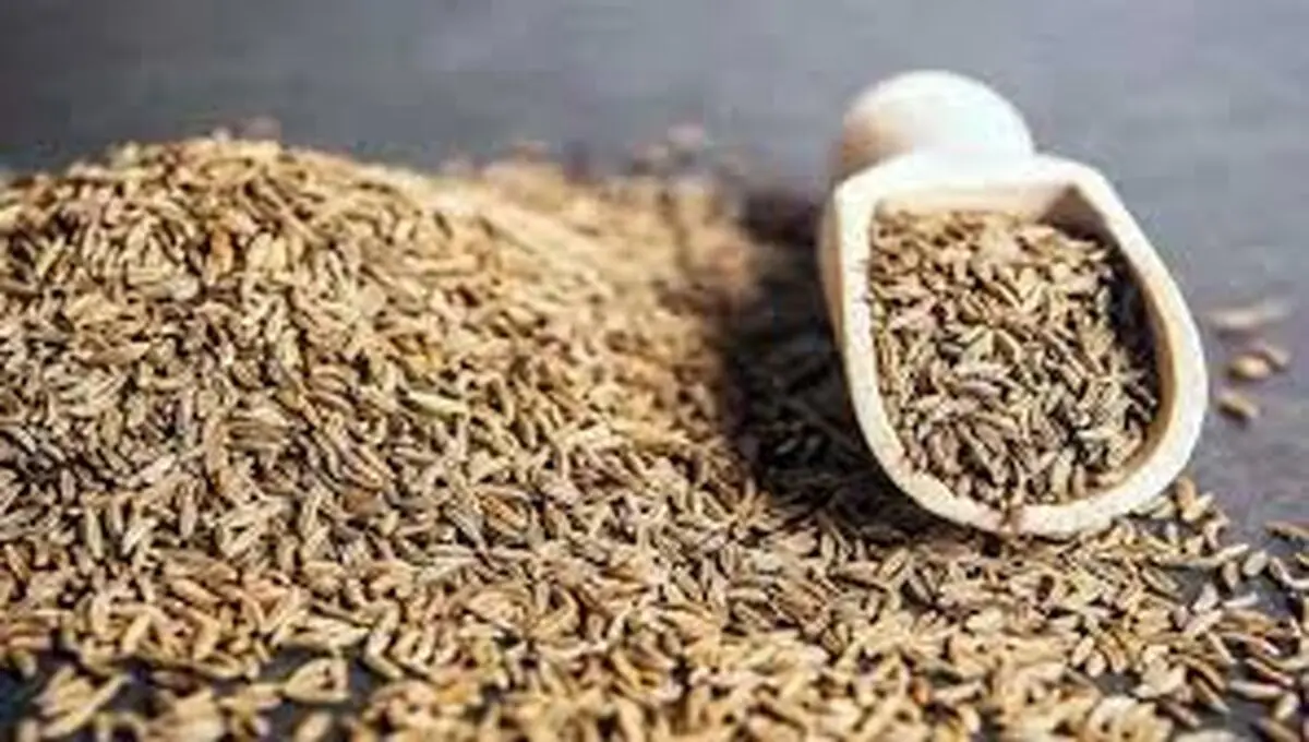 زیره را کی و کجا استفاده کنیم تا عطر غذا را چند برابر کند؟