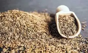 زیره را کی و کجا استفاده کنیم تا عطر غذا را چند برابر کند؟