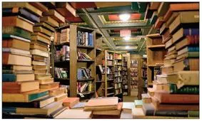  غریق لذتِ کلمات