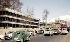 میمون فراری پای پلیس را به مجلس باز کرد