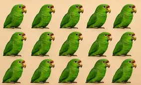 بازی فکری/ طوطی متفاوت کدام است؟