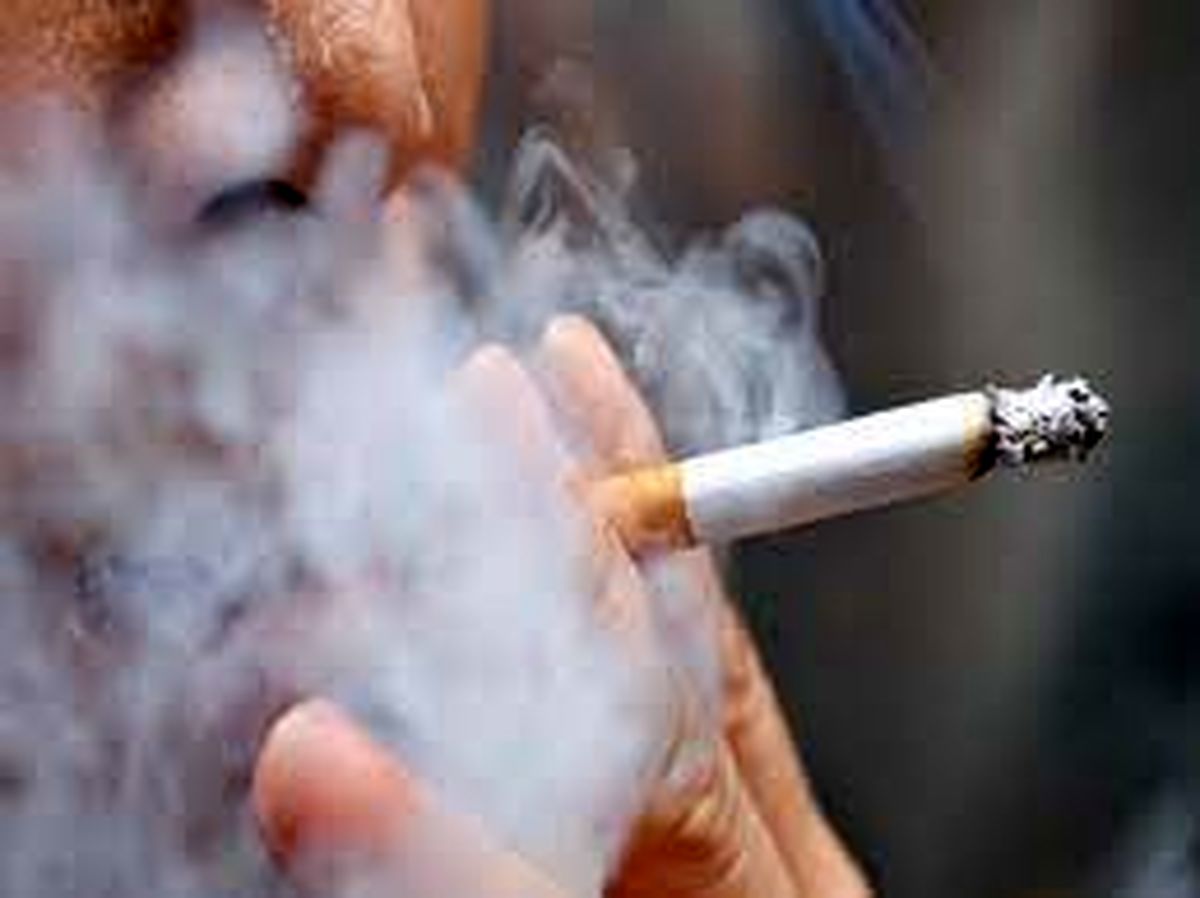 سیگار کشیدن اجداد و تاثیر منفی آن بر افزایش چربی بدن نوه‌ها