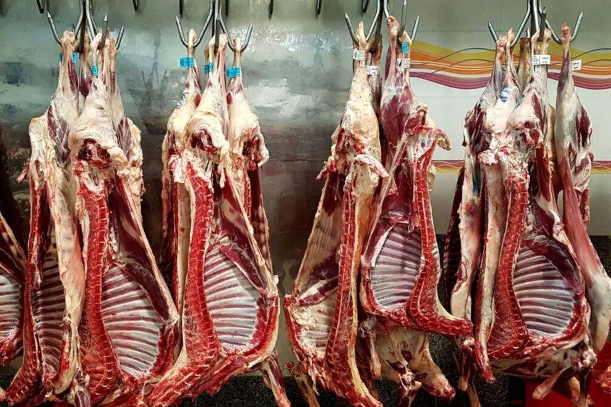قیمت جدید گوشت قرمز