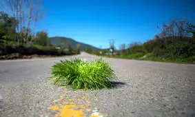 تذکر پلیس راهور: انداختن "سبزه" در سطح راه جریمه دارد