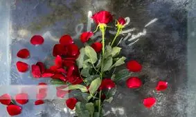 هنرمندان سینما و تئاتری که در ۱۴۰۴ از دنیا رفتند 