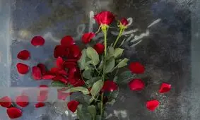 هنرمندان سینما و تئاتری که در ۱۴۰۴ از دنیا رفتند 