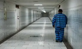 خواسته عجیب یک دزدِ ثروتمند از پلیس/ ویددئو