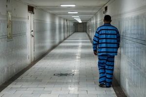 خواسته عجیب یک دزدِ ثروتمند از پلیس/ ویددئو