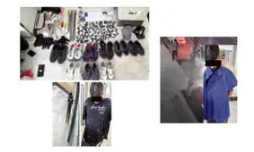 رمز گشایی از سرقت های هالیوودی «کلاغ های غریبه»