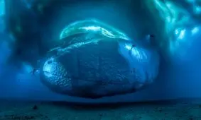 روایت لوران بالستا از بهترین عکس‌اش؛ قسمت زیرین کوه یخ