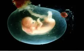 رژیم سالم مادران برای بارداری ۹ ماهه: ۵۰ هزار کالری غذایی