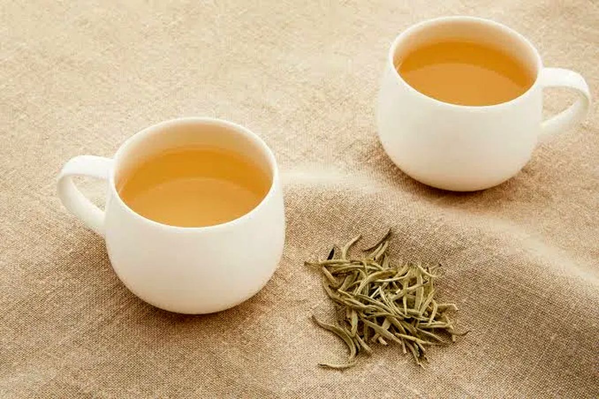  خواص چای سفید از سلامت اعصاب و لاغری تا زیبایی پوست 