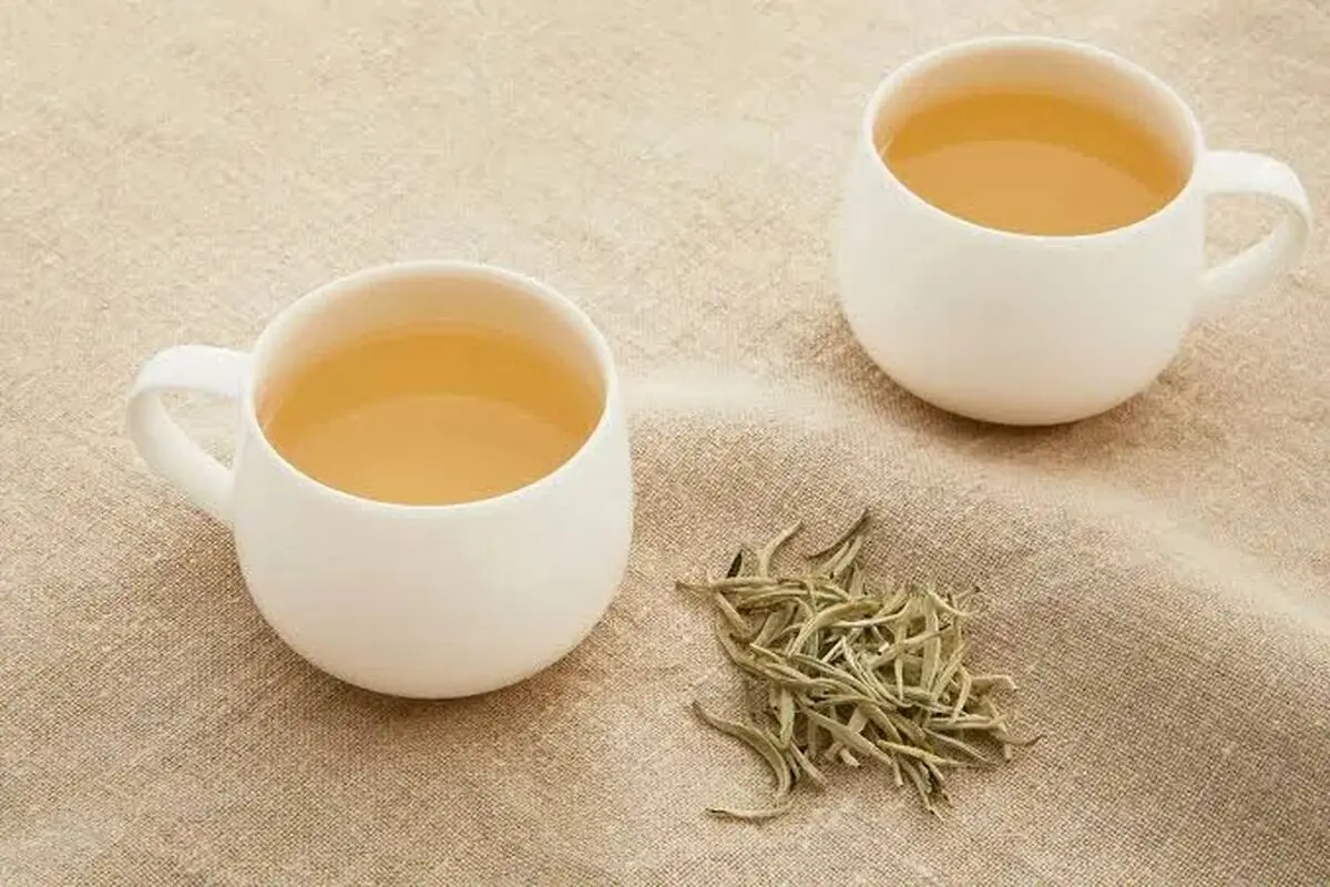 خواص چای سفید از سلامت اعصاب و لاغری تا زیبایی پوست