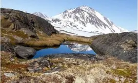 کشف فسیل در گرینلند؛ افشاگر راز سبزشدن جزیره‌ای یخی

