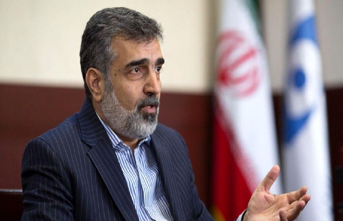 انتقاد سخنگوی سازمان انرژی اتمی از موضعگیری احساسی مدیر کل آژانس