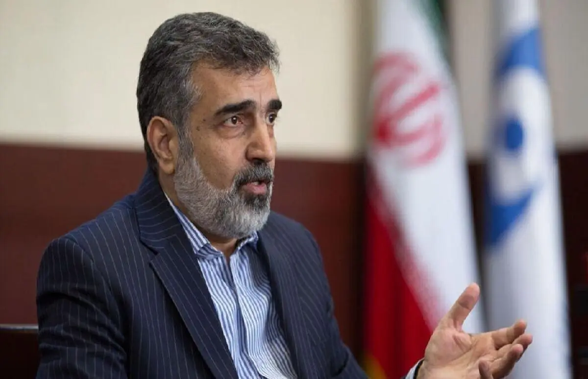 انتقاد سخنگوی سازمان انرژی اتمی از موضع‌گیری احساسی مدیر کل آژانس

