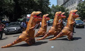 اگر همه‌‌‌‌چیز سیاسی باشد، آنگاه دیگر هیچ‌‌‌‌چیز سیاسی نیست

