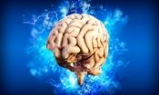 کشف راز ابتلا به آلزایمر، پارکینسون و سکته مغزی

