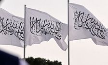 طالبان شطرنج را ممنوع و حرام اعلام کرد/ واکنش فدراسیون جهانی

