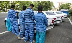 سارق مسلح به مالباخته: حبسش را کشیدم، به تو چه ربطی دارد/ ویدئو