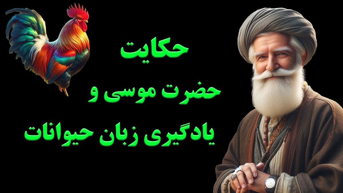 حکایت یادگیری زبان حیوانات 1