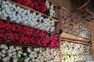 کشف ۴۰ هزار شاخه گل قاچاق در جنوب تهران