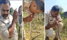 افسر پلیس با تنفس دهان‌به‌دهان جان یک مار را نجات داد/ ویدئو