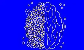 تست شخصیت شناسی: اولین چیزی که می بینید می تواند درونی ترین افکار و احساسات شما را آشکار کند