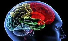 علائمی که بدن یک ماه قبل از سکته نشان می‌دهد!