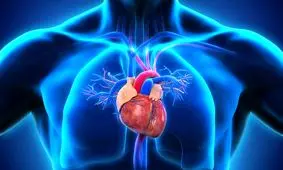 با این تست ۳٠ ثانیه‌ای سلامت قلب خود را چک کنید
