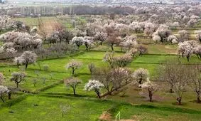 باغستان سنتی قزوین در جیاس ثبت شد

