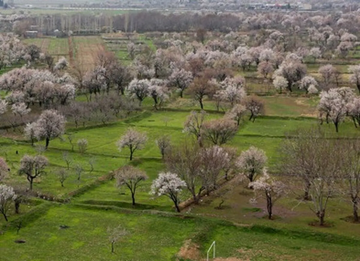 باغستان سنتی قزوین در جیاس ثبت شد


