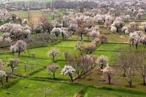 باغستان سنتی قزوین در جیاس ثبت شد

