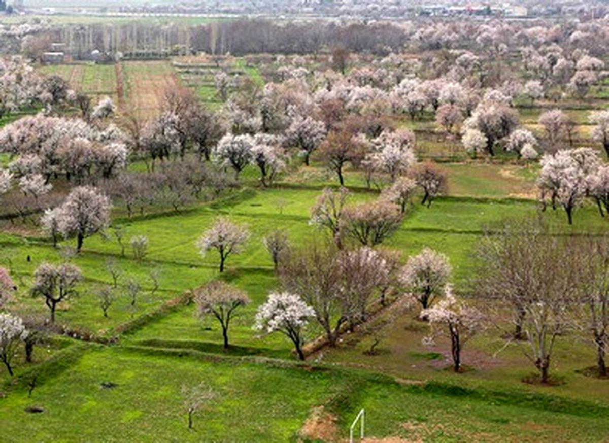 باغستان سنتی قزوین در جیاس ثبت شد

