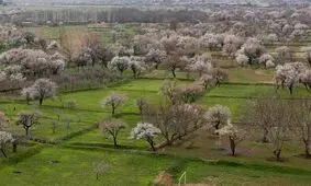 باغستان سنتی قزوین در جیاس ثبت شد

