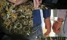 انهدام دو باند سرقت طلا در فارس 