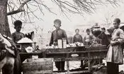 سفر در زمان؛ تصویری از مردان قاجاری در حال چای خوردن در زیر سایبان 