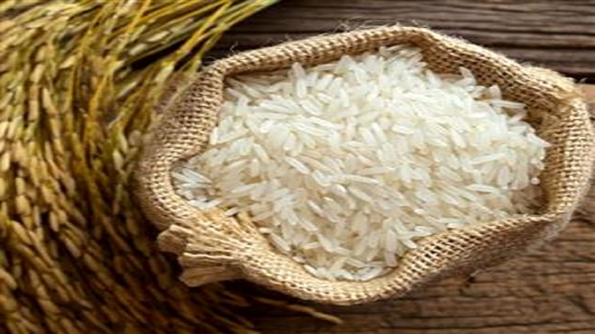قیمت انواع برنج در بازار