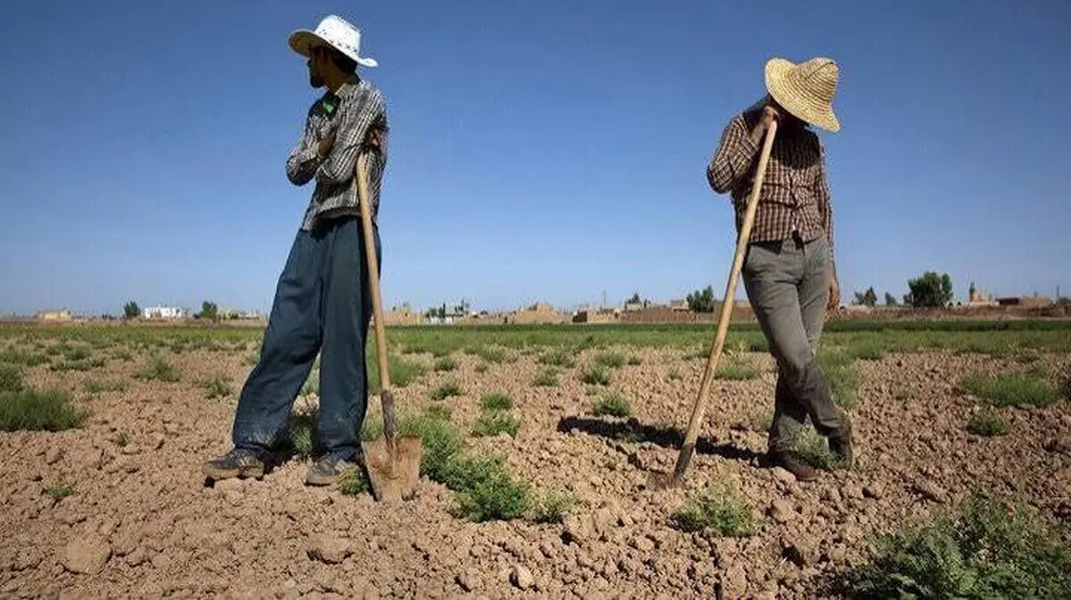 ۶ تا ۷ ساعت قطعی برق، کمبود آب و افزایش هزینه‌ها کمر کشاورزان را شکسته است