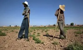۶ تا ۷ ساعت قطعی برق، کمبود آب و افزایش هزینه‌ها کمر کشاورزان را شکسته است