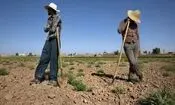 ۶ تا ۷ ساعت قطعی برق، کمبود آب و افزایش هزینه‌ها کمر کشاورزان را شکسته است