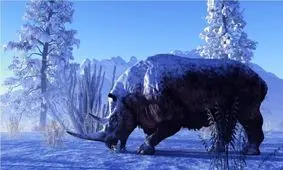 کشف کرگدن ۳۲ هزار ساله با پوست و پشم سالم در روسیه!

