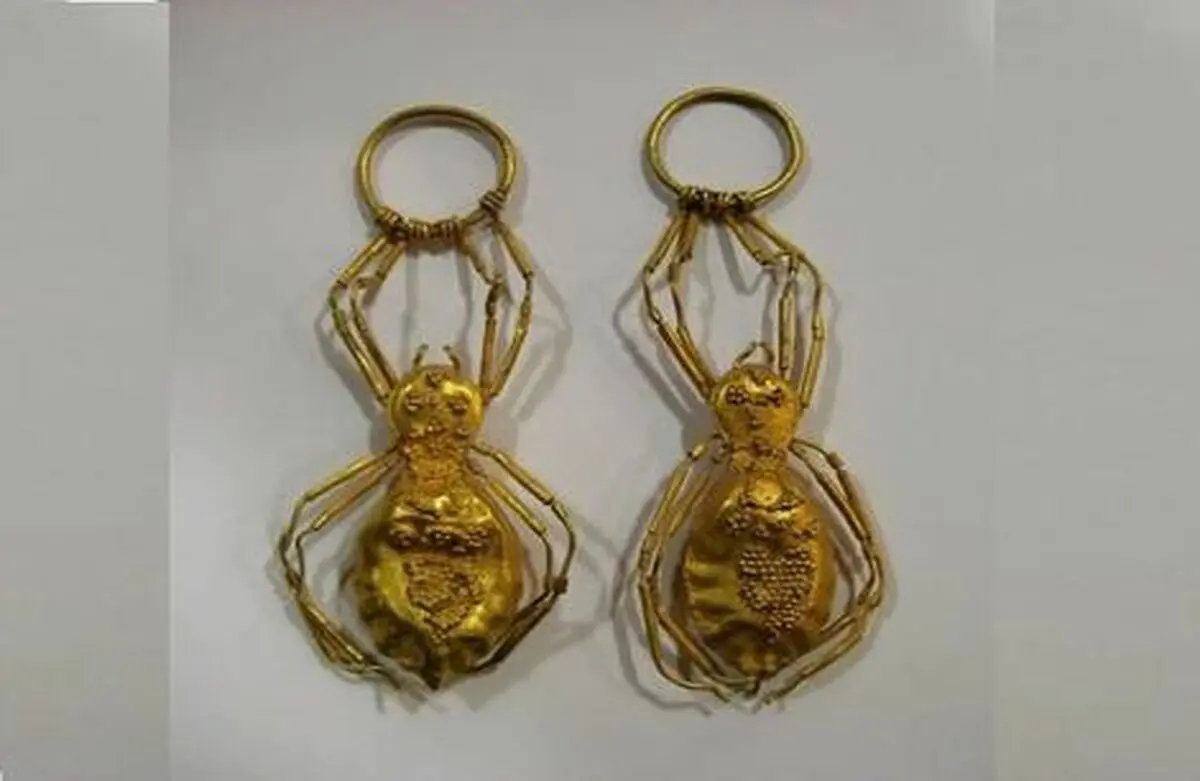 کشف گوشواره عنکبوتی مربوط به پیش از میلاد در افغانستان