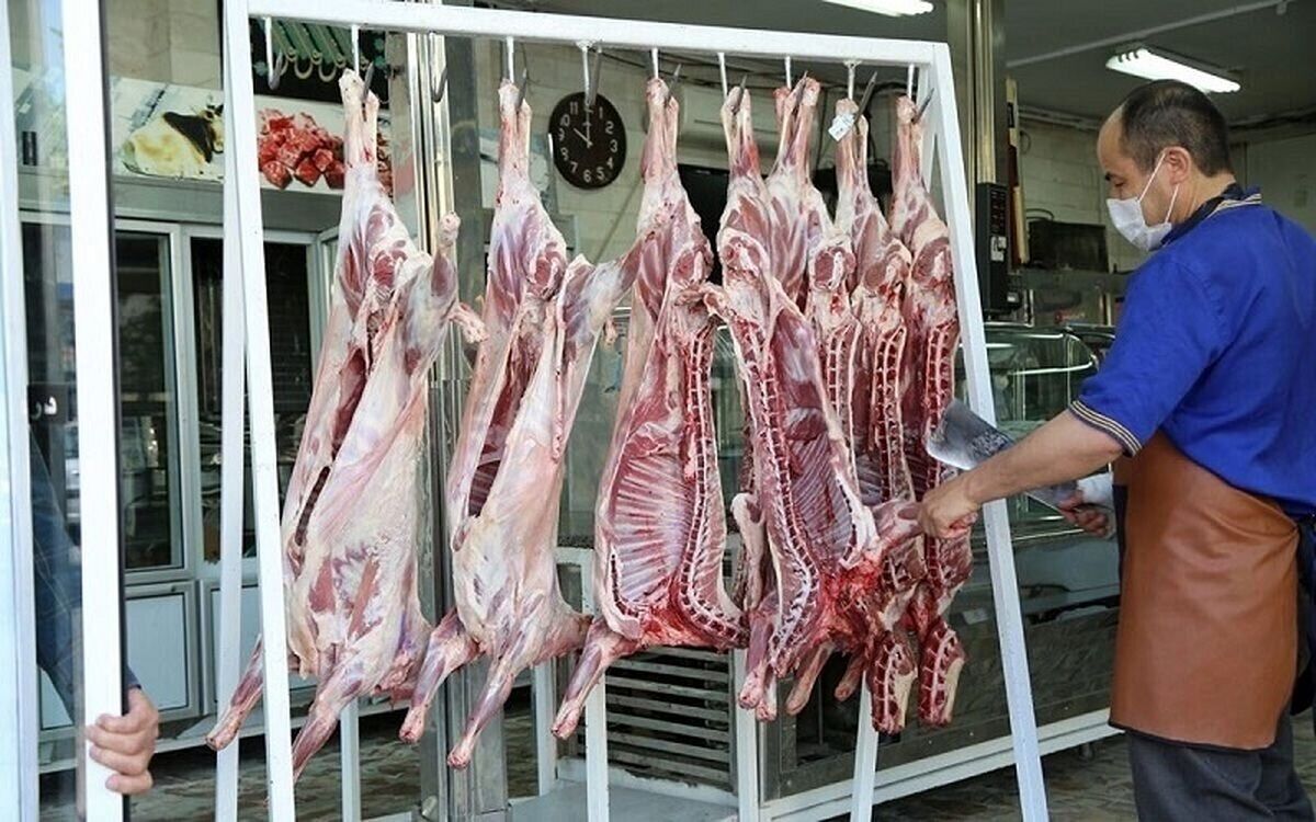 چرا دولت بر واردات گوشت قرمز منجمد اصرار دارد؟